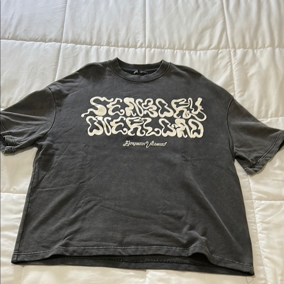 Zara Other - Zara Charcoal Graphic Tee